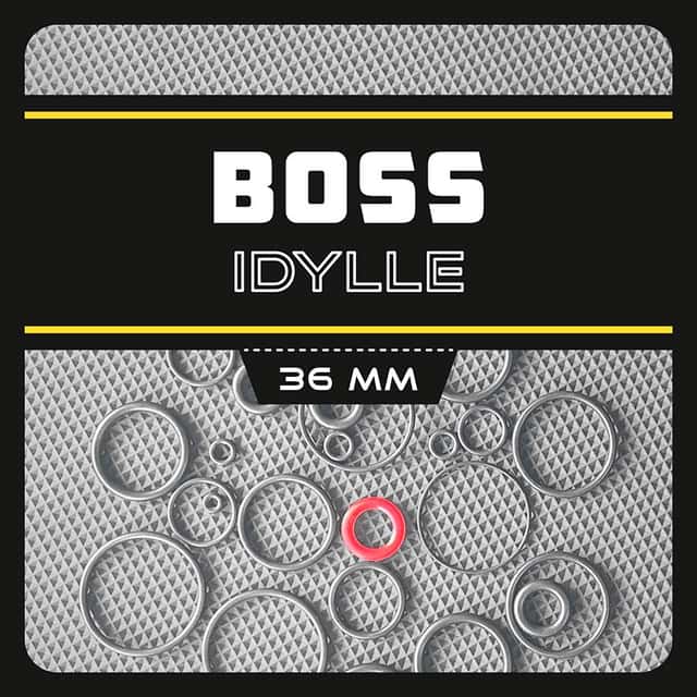 Комплект уплотнителей вилки Boss Idylle 36mm