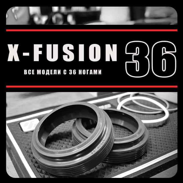 X-Fusion 36мм | cальники RacingBros | фланцевые